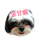Mao＆Bo（個別スタンプ：16）