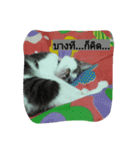 Noomnim the cat（個別スタンプ：5）