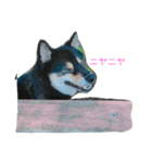 黒柴犬こたろうまるの日常スタンプ（個別スタンプ：21）