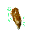 モルのあいさつ編（個別スタンプ：30）