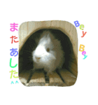 モルのあいさつ編（個別スタンプ：33）