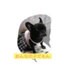 WAN ONE WAN（個別スタンプ：3）