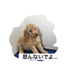 WAN ONE WAN（個別スタンプ：4）