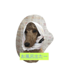 WAN ONE WAN（個別スタンプ：6）