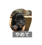 WAN ONE WAN（個別スタンプ：7）