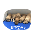 WAN ONE WAN（個別スタンプ：8）