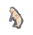 ワンワンコンビ（個別スタンプ：3）