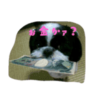 たろさんです（個別スタンプ：1）