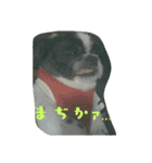 たろさんです（個別スタンプ：6）