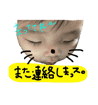 yua'sstamp（個別スタンプ：10）