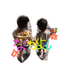 るーちゃん＆みーくん（個別スタンプ：15）