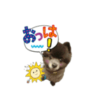 イケメン王子 ペコ（個別スタンプ：3）