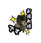 イケメン王子 ペコ（個別スタンプ：5）