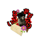 イケメン王子 ペコ（個別スタンプ：6）
