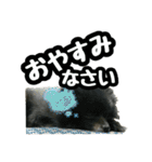 イケメン王子 ペコ（個別スタンプ：9）