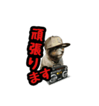 イケメン王子 ペコ（個別スタンプ：11）