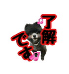 イケメン王子 ペコ（個別スタンプ：13）