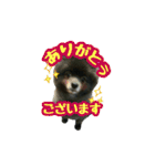 イケメン王子 ペコ（個別スタンプ：18）