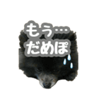 イケメン王子 ペコ（個別スタンプ：20）