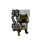 イケメン王子 ペコ（個別スタンプ：23）