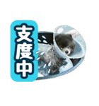 イケメン王子 ペコ（個別スタンプ：26）