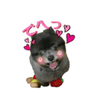 イケメン王子 ペコ（個別スタンプ：28）