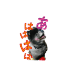 イケメン王子 ペコ（個別スタンプ：31）