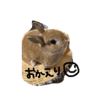 うさぎのマロニー（個別スタンプ：5）
