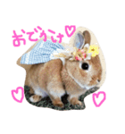 うさぎのマロニー（個別スタンプ：14）