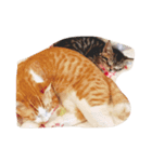 こむあずらぶ（個別スタンプ：1）