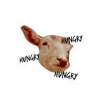 かわいいanimalたち（個別スタンプ：7）
