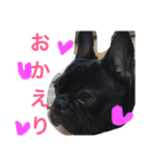 フレブルてつくんのいちにち（個別スタンプ：1）