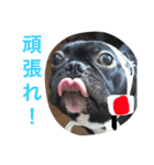フレブルてつくんのいちにち（個別スタンプ：2）