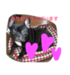 フレブルてつくんのいちにち（個別スタンプ：4）