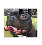 フレブルてつくんのいちにち（個別スタンプ：8）