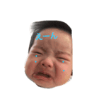 claireee（個別スタンプ：6）