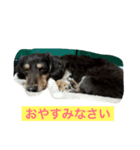 rizumu＆uta（個別スタンプ：4）