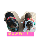 rizumu＆uta（個別スタンプ：5）