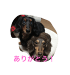 rizumu＆uta（個別スタンプ：8）