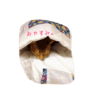 猫娘ちゃちゃ1（個別スタンプ：11）