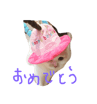 ほーちゅにー（個別スタンプ：3）