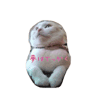 ほーちゅにー（個別スタンプ：8）