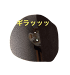 ☆すーさんのスタンプ☆（個別スタンプ：4）