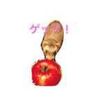 ☆すーさんのスタンプ☆（個別スタンプ：9）
