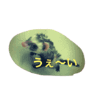 ☆すーさんのスタンプ☆（個別スタンプ：11）