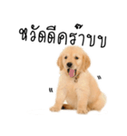 Dull dog gang（個別スタンプ：1）