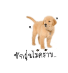 Dull dog gang（個別スタンプ：8）