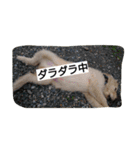 ごんたろー（個別スタンプ：20）