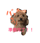もさもさわたくん（個別スタンプ：2）