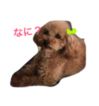 もさもさわたくん（個別スタンプ：5）